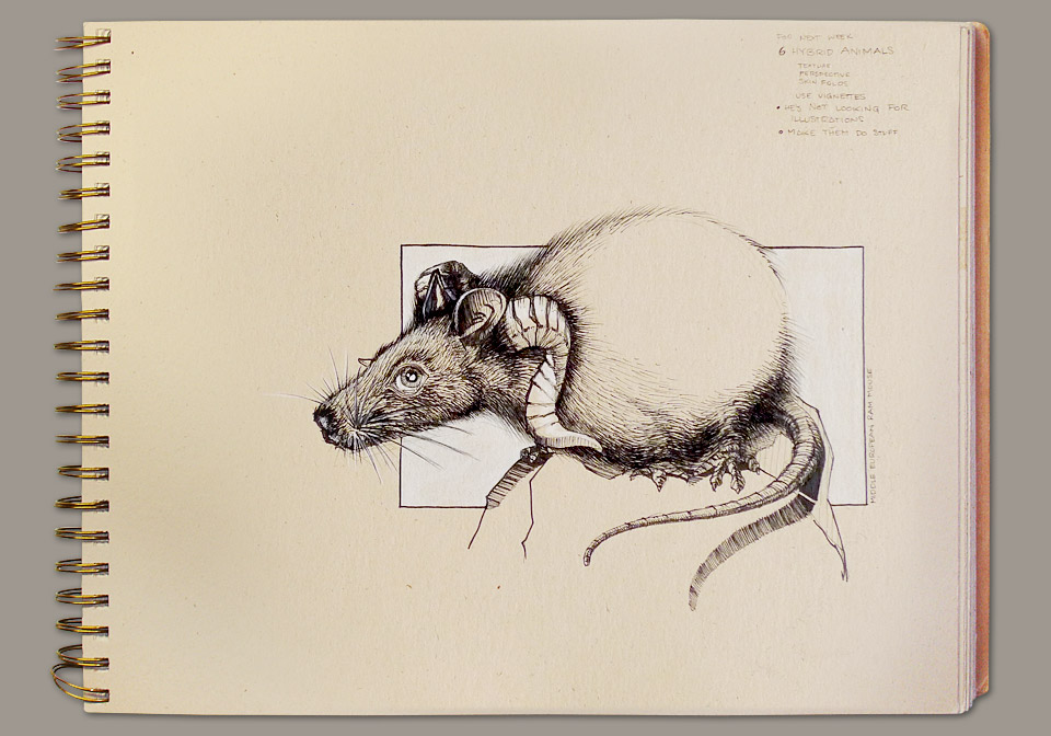 sketchbook-ram-mouse.jpg