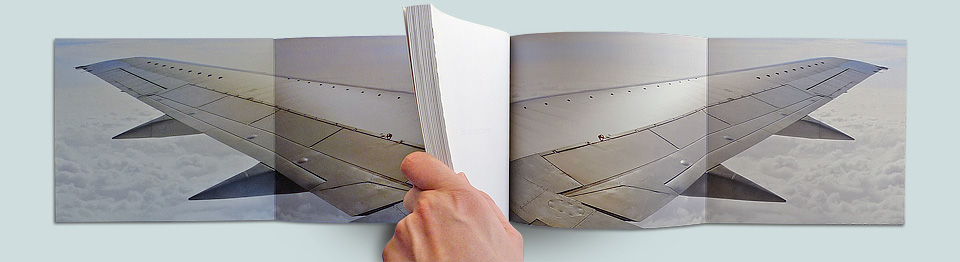 The-Graphic-Eye-Paperback-Wings.jpg