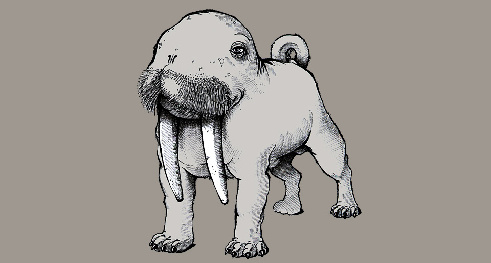 animals-bullrus.jpg