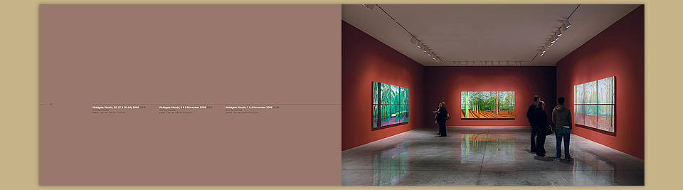 david-hockney-5.jpg